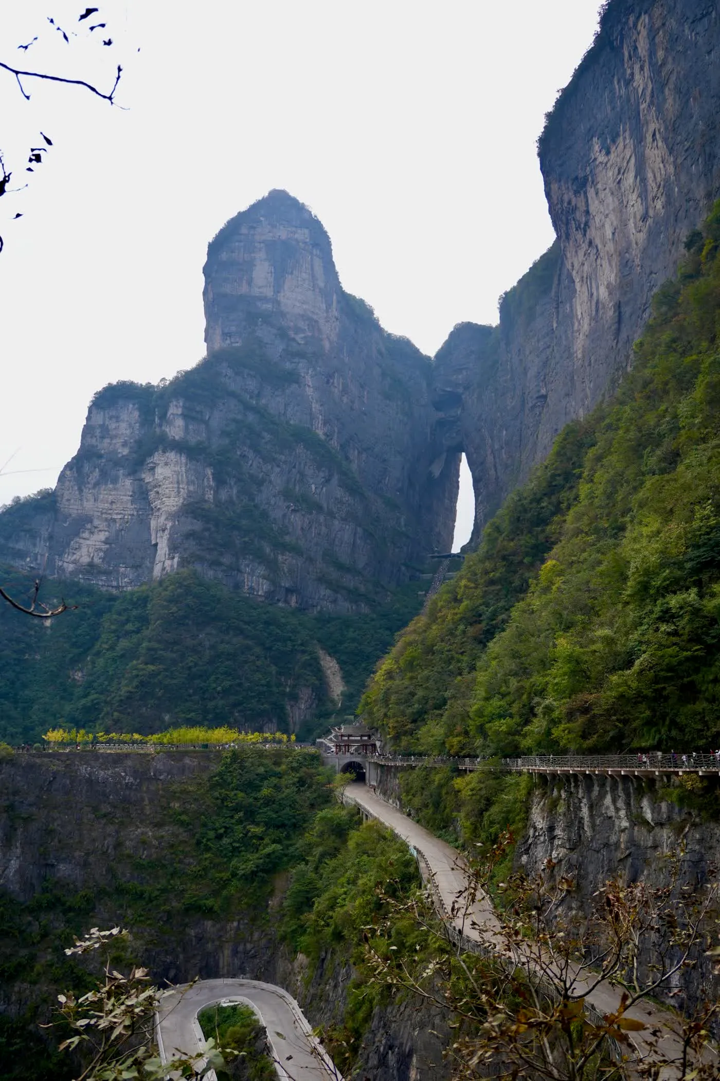 Zhangjiajie National Forest Park vs Tianmen Mountain: Two Different Parks