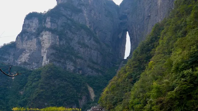 Zhangjiajie National Forest Park vs Tianmen Mountain: Two Different Parks